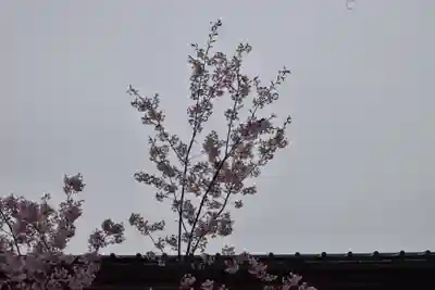 豊国神社の自然