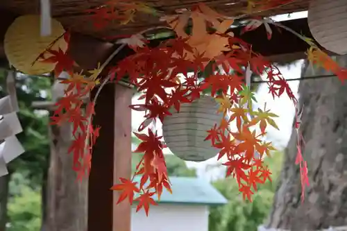 阿久津「田村神社」（郡山市阿久津町）旧社名：伊豆箱根三嶋三社の手水舎