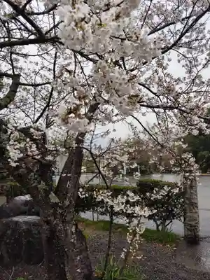 八坂寺(愛媛県)