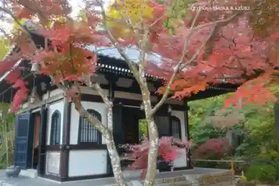 長谷寺(神奈川県)