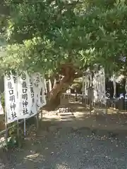 龍口明神社(神奈川県)