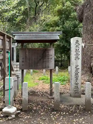 芝東照宮の歴史