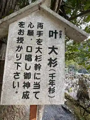 丹生川上神社（中社）(奈良県)