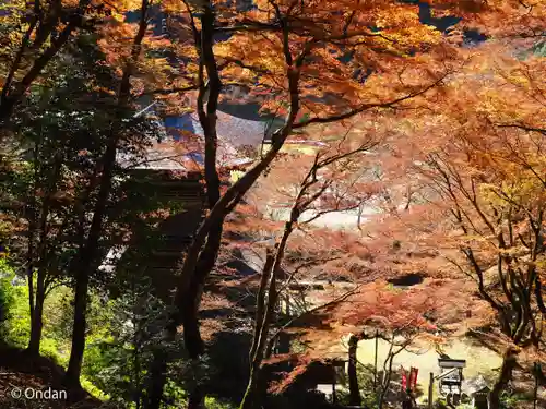 金剛院(京都府)