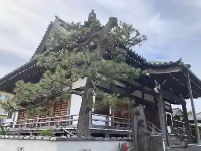 天然寺(神奈川県)
