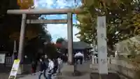 浅草神社の鳥居