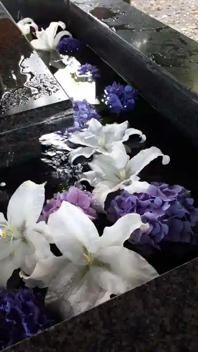 新琴似神社の手水舎