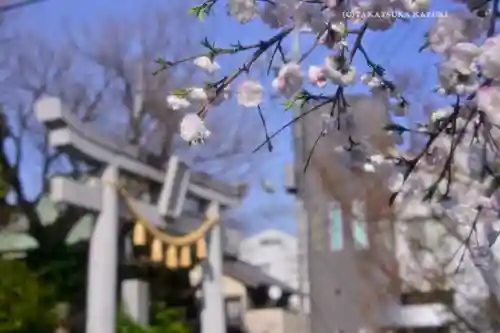 鳩ヶ谷氷川神社(埼玉県)