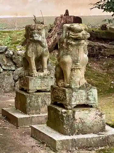 隨心院（随心院）の狛犬