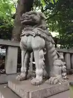 渋谷氷川神社の狛犬