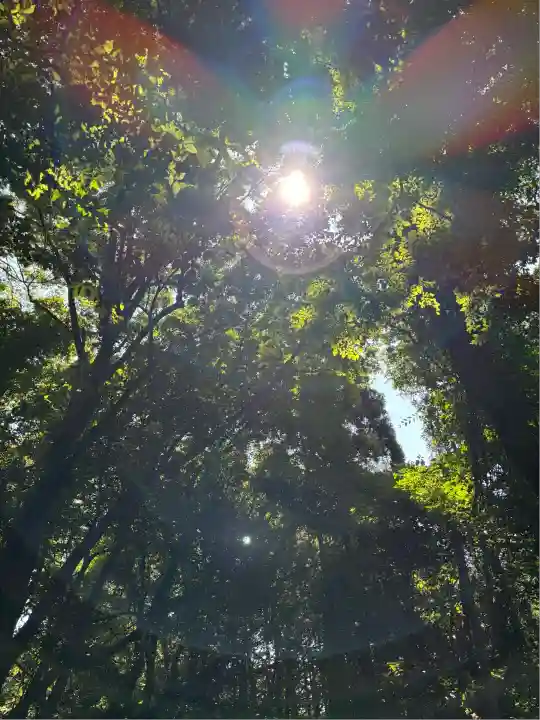 サムハラ神社 奥の宮(岡山県)