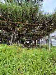 高砂神社の建物その他