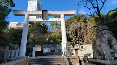 乃木神社の鳥居