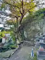 英勝寺(神奈川県)