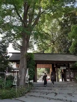 阿佐ヶ谷神明宮(東京都)