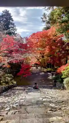 毘沙門堂門跡(京都府)