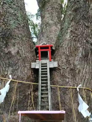 加藤神社(熊本県)