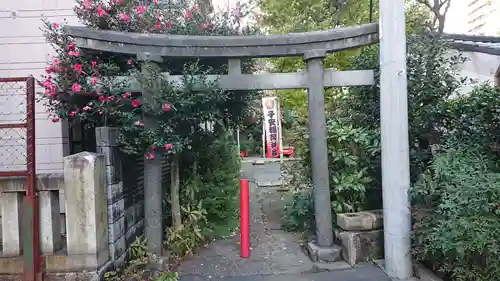 子安稲荷神社の鳥居
