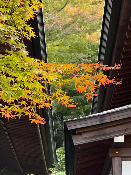 高幡不動尊 金剛寺(東京都)