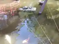 今泉八坂神社(栃木県)