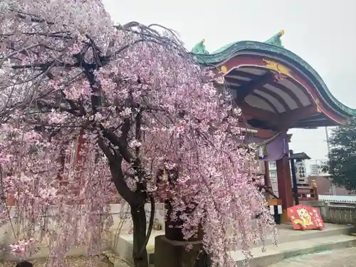 千住神社の景色