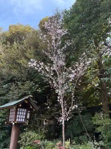 東京大神宮(東京都)