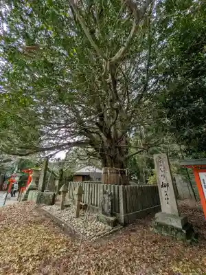 熊野速玉大社(和歌山県)