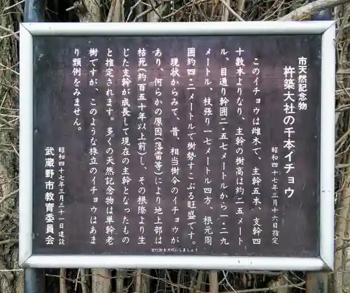 杵築大社の歴史