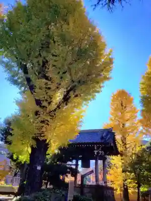 寛永寺(根本中堂)(東京都)