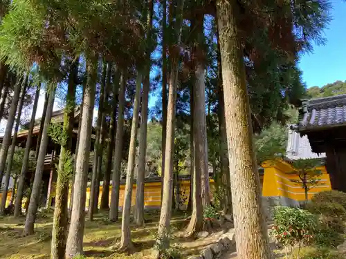 崇禅寺の庭園