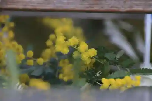 豊景神社の手水