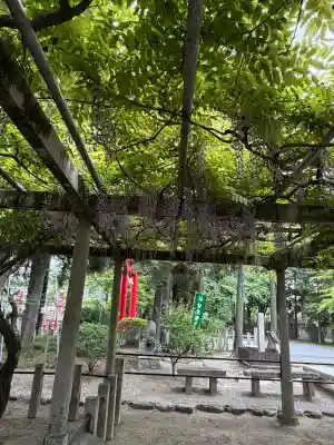 立木神社(滋賀県)