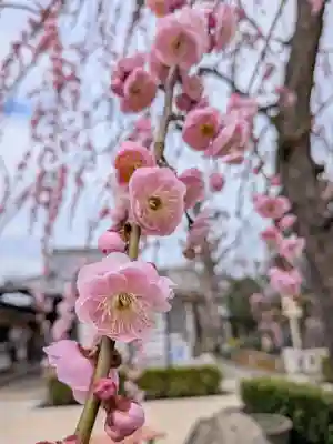 常性寺(東京都)