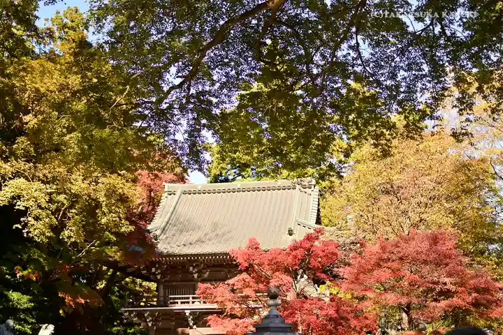 高尾山薬王院(東京都)
