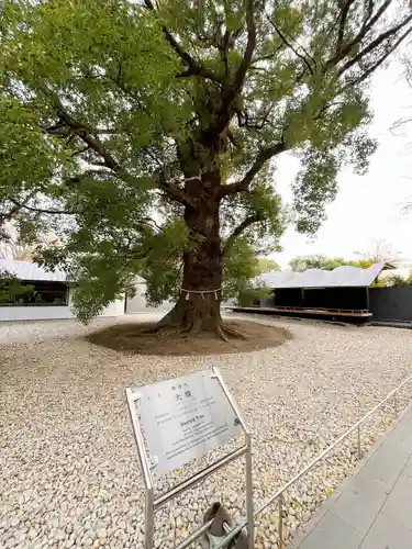 上野東照宮(東京都)