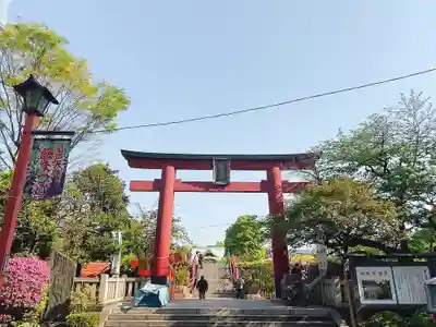 亀戸天神社の鳥居