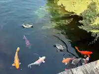 西林寺奥の院(杖の淵)の周辺