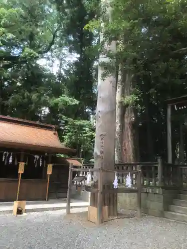 諏訪大社下社秋宮(長野県)