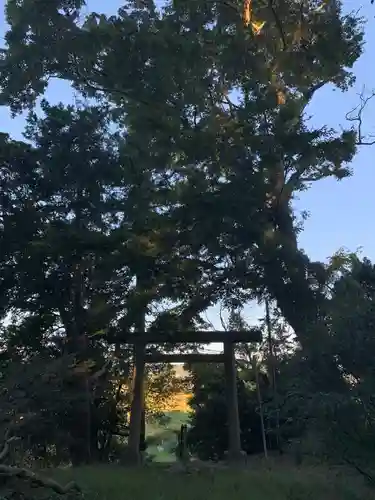 冨崎神社の自然