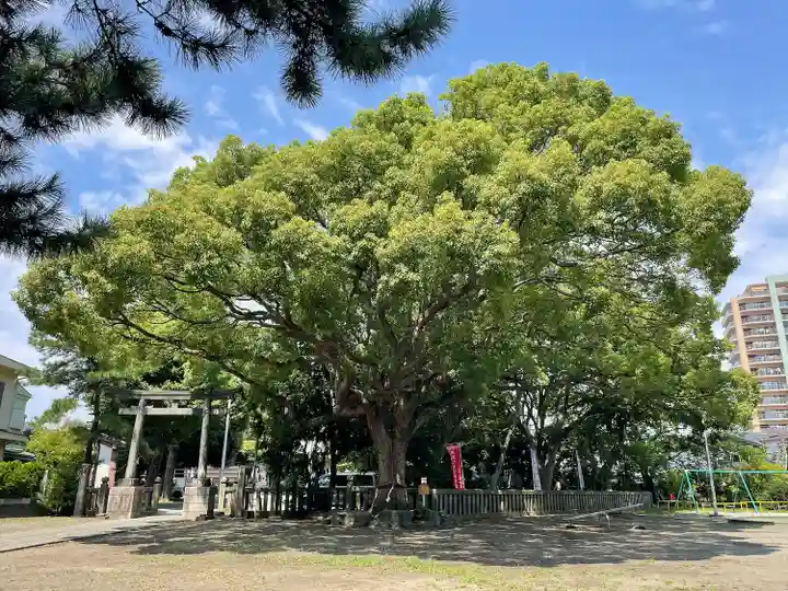 平塚三嶋神社(神奈川県)