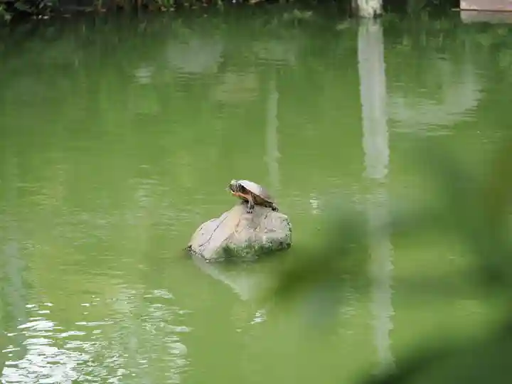 亀戸天神社(東京都)