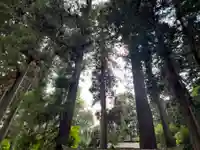 大宮温泉神社(栃木県)