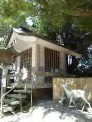 志賀海神社(福岡県)