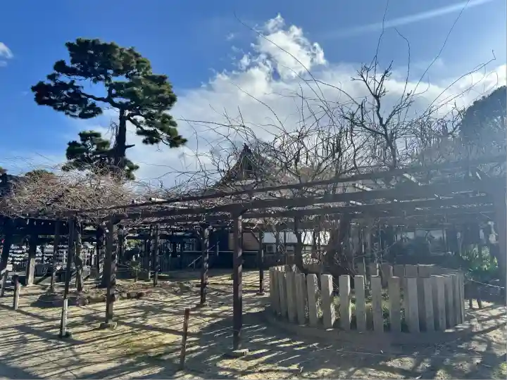 葛井寺(大阪府)