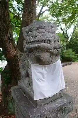 磯良神社（疣水神社）の狛犬