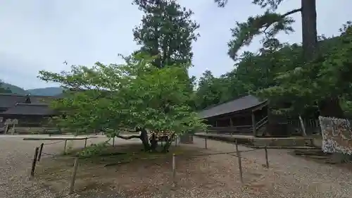 出雲大社(島根県)