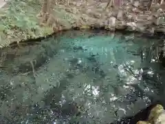 泉神社(茨城県)