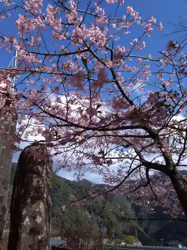 熊野那智大社(和歌山県)