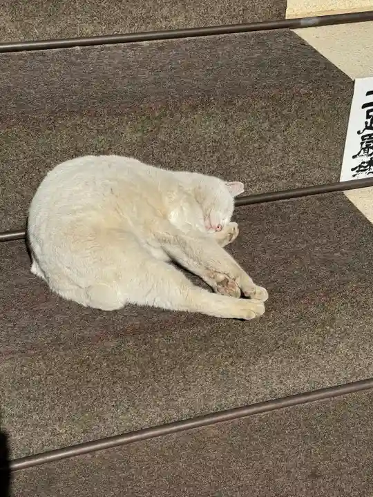 今戸神社(東京都)