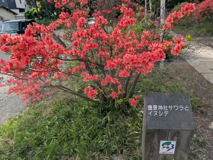 豊景神社の{uncategorized: "未分類", other: "その他", undefined: "問題あり", building: "その他建物", grave: "お墓", sacred_gate: "鳥居", guardian: "狛犬", statue: "像", buddha: "仏像", history: "歴史", nature: "自然", garden: "庭園", animal: "動物", pagoda: "塔", temizu: "手水舎", mountain_gate: "山門・神門", sanctuary: "本殿・本堂", subordinate: "末社・摂社", art: "芸術", scenery: "景色", jizo: "地蔵", ema: "絵馬", goshuin: "御朱印", omikuji: "おみくじ", items: "授与品その他", amulet: "お守り", goshuincho: "御朱印帳", eats: "食事", festival: "お祭り", votive_dance: "神楽", shichigosan: "七五三参", wedding: "結婚式", experience: "体験その他", initially: "初詣", around: "周辺", anti_infection: "感染症対策"}